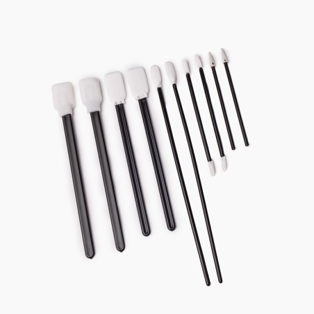 Lot de 10 Bâtonnets de Detailing